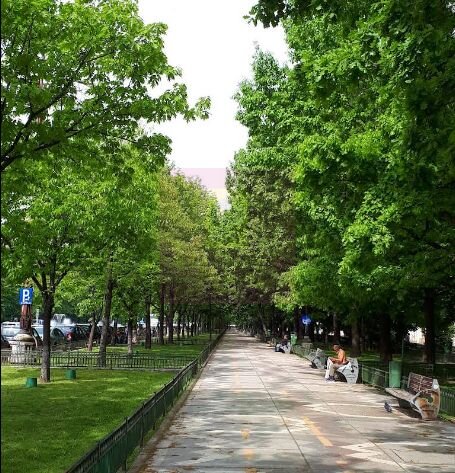 Vanzare Spatiu comercial bd Unirii inchiriat cu randament bun